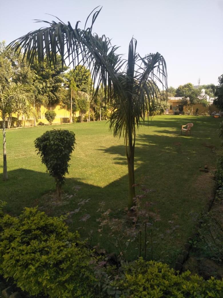 Hotel Tiger Regency Resort ساواي مادهوبور المظهر الخارجي الصورة